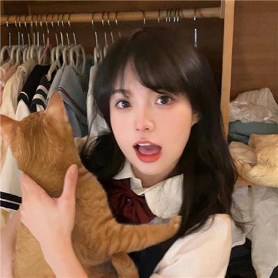 公鸡