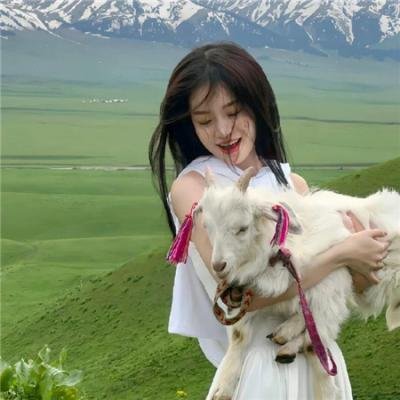 我老死苏怡